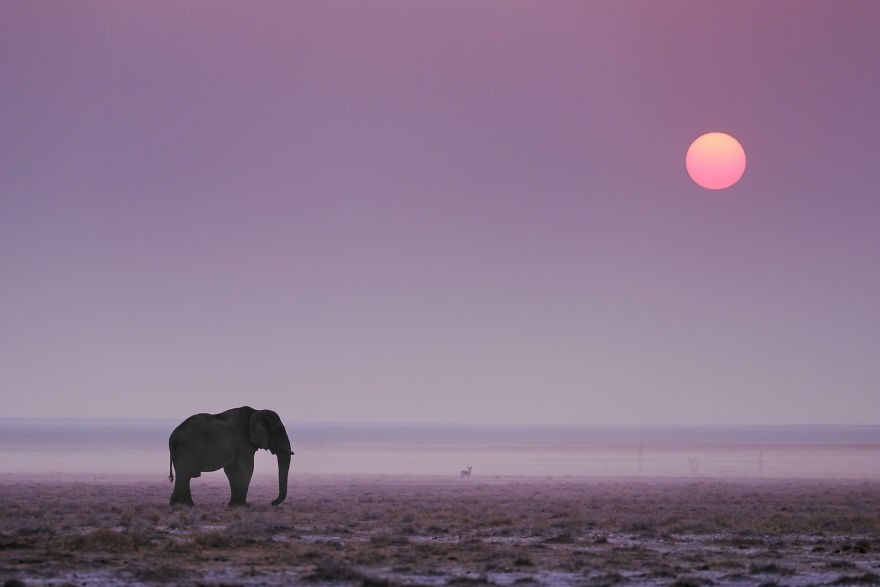 Zachód słońca nad jeziorem Etosha, Namibia