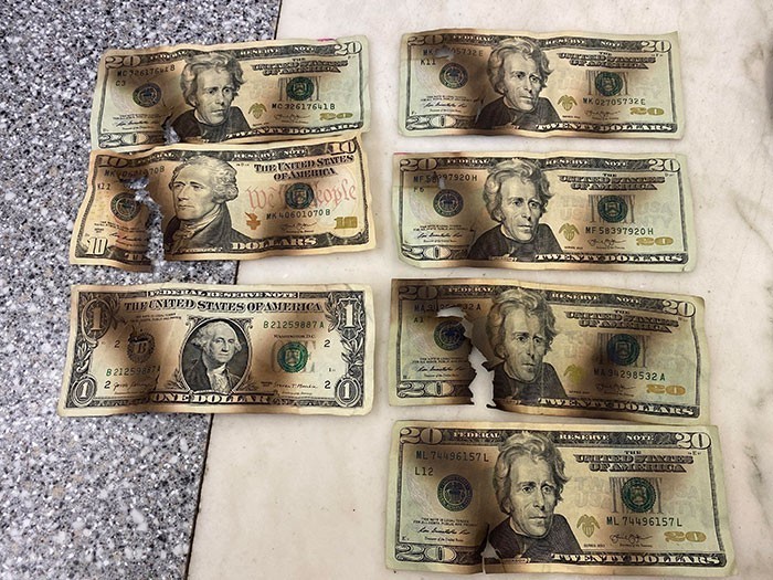 "Ktoś przyniósł te banknoty do banku, po próbie zdezynfekowania ich w mikrofalówce."