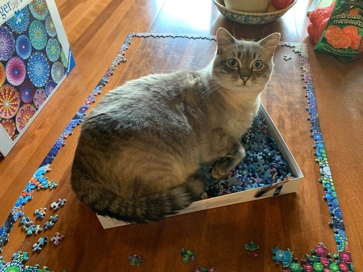 "Chciałeś poukładać sobie puzzle? Masz pecha."