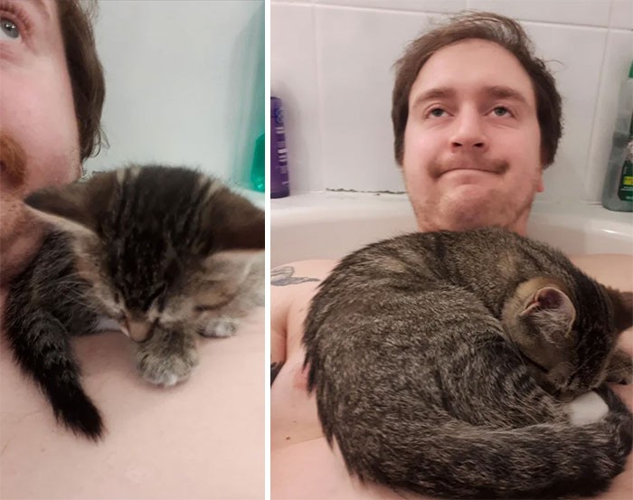 "W dniu, w którym adoptowałem moją kotkę, weszła do łazienki gdy brałem kąpiel, wskoczyła do wanny, i ucięła sobie drzemkę na moim ramieniu."