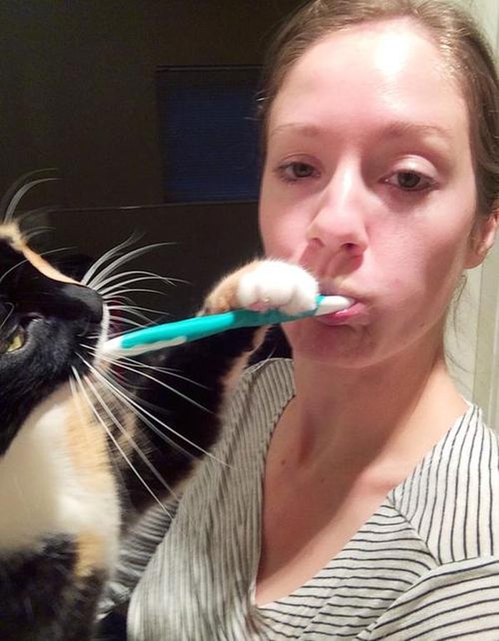 "Każdego ranka gdy myję zęby"