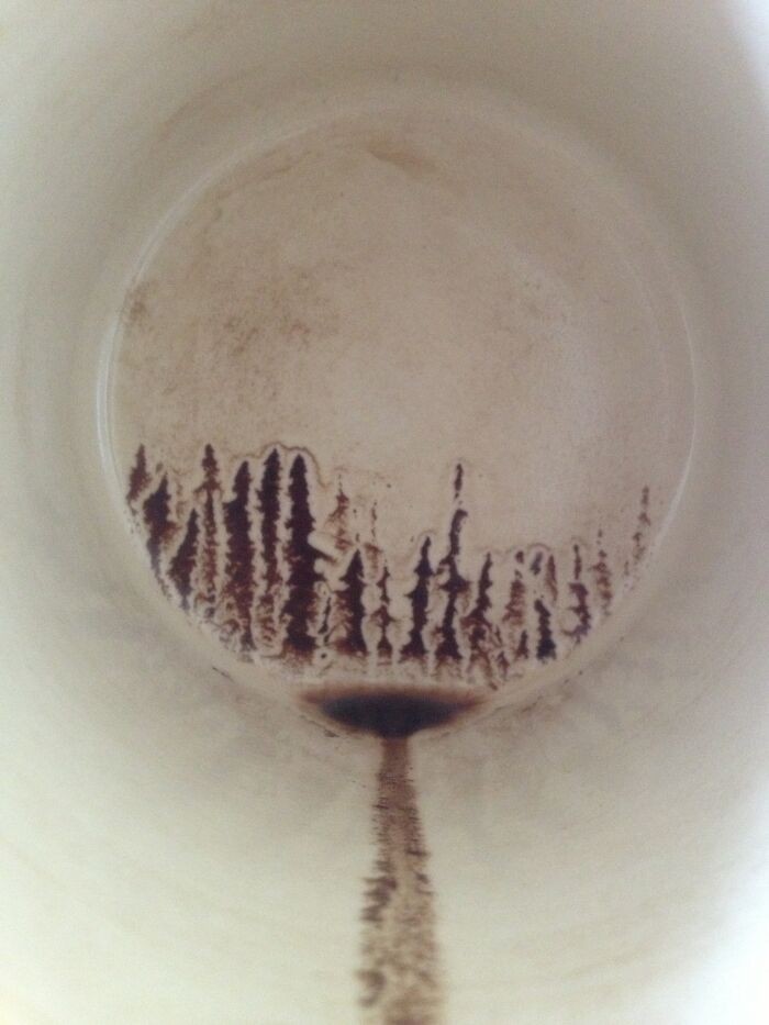 "Przy ostatnim łyku kawy stworzyłem w filiżance las."