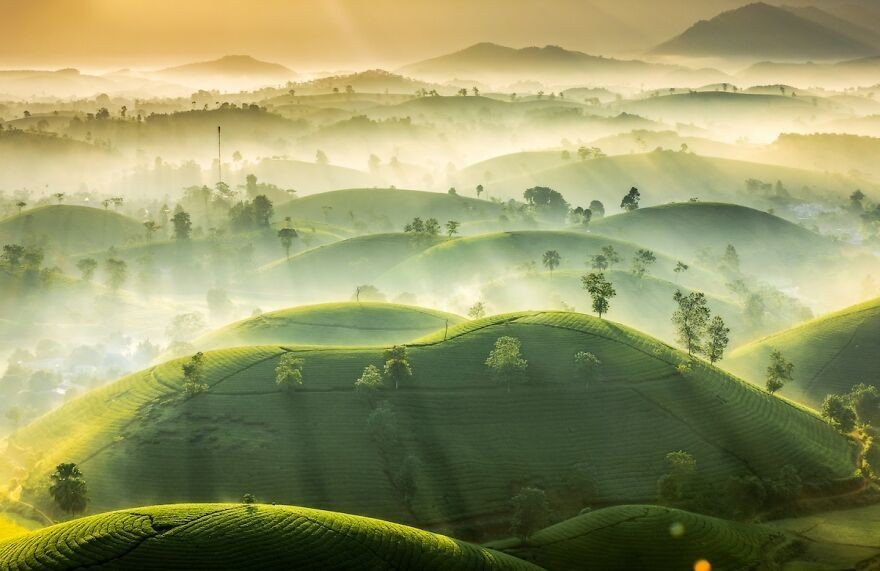 "Herbaciane wzgórza" - Vu Trung Huan