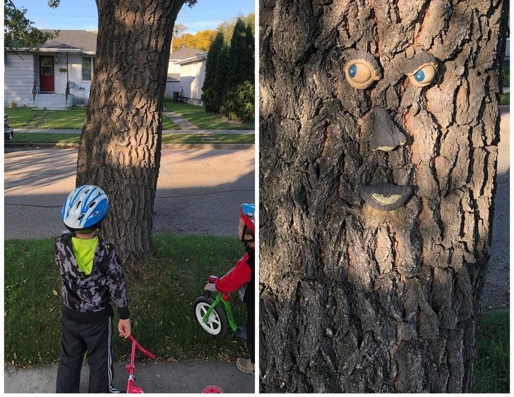 10. "Wybrałam się na wycieczkę rowerową z dzieciakami. To drzewo sprawiło, że prawie spadłam z roweru."