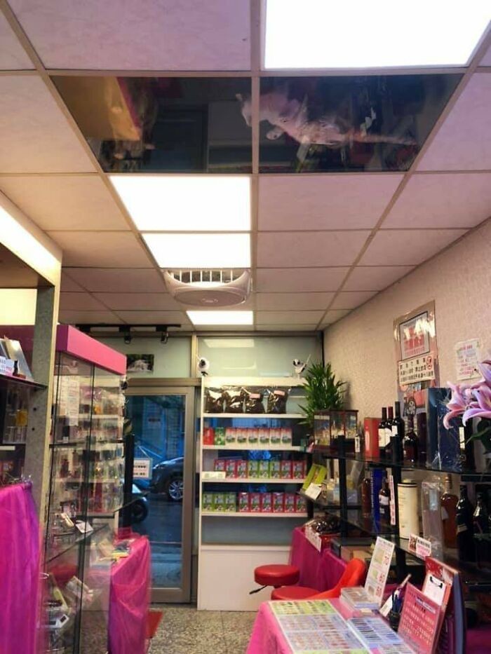 Użytkownik Twittera podzielił się zdjęciami sklepu znajomego, który zamontował szklane panele w miejsce niektórych płyt sufitowych. 