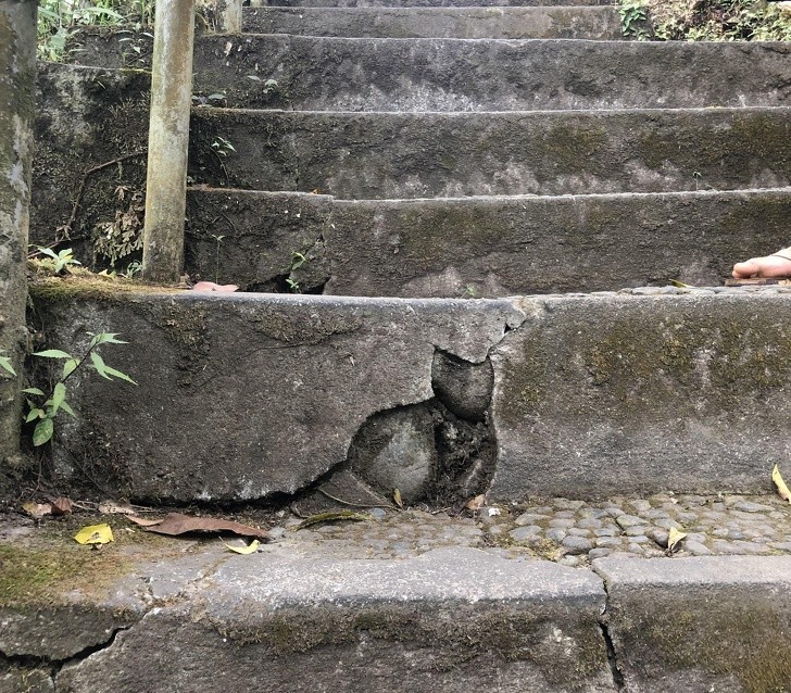 12. Pęknięcie na schodach przypominające kota