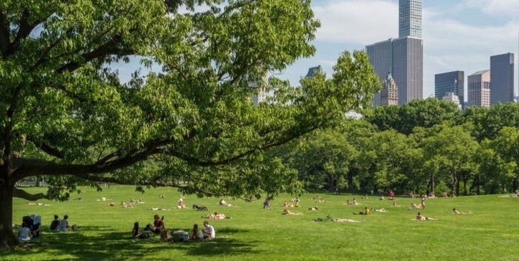 7. Piknik w Central Parku, Nowy Jork