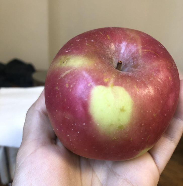 "Jabłko z kolejnym jabłkiem 'nadrukowanym' na jego powierzchni"