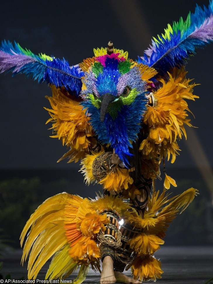 Miss Brazylii jako ara modra, amazońska papuga