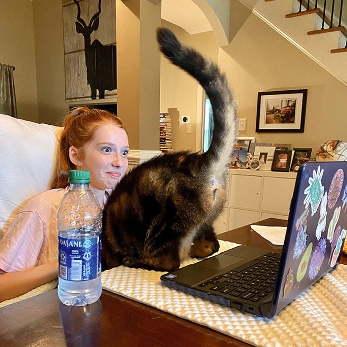 "Kot uwielbia towarzyszyć córce podczas jej lekcji online."