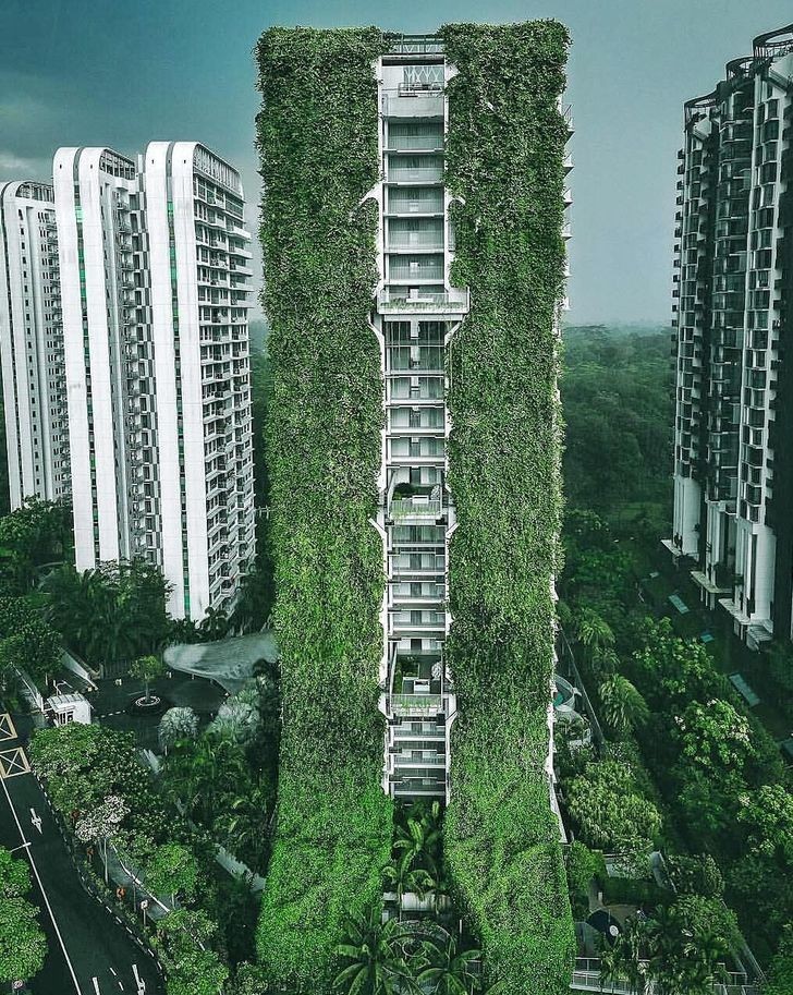 "Przynajmniej mają dużo miejsca na ogród. Singapur"