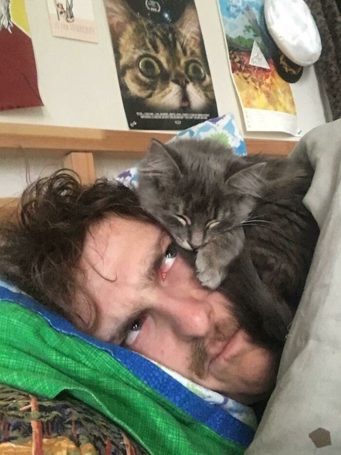 "Mój nowy kot lubi spać na mojej głowie."