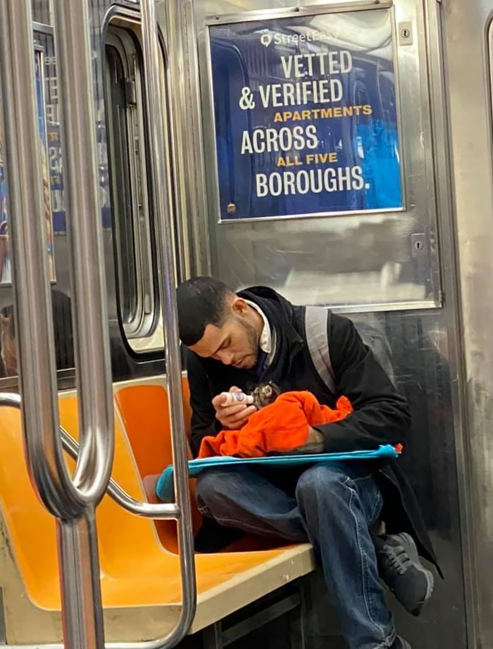 "Gdy widzisz gościa karmiącego małego kotka w metrze..."