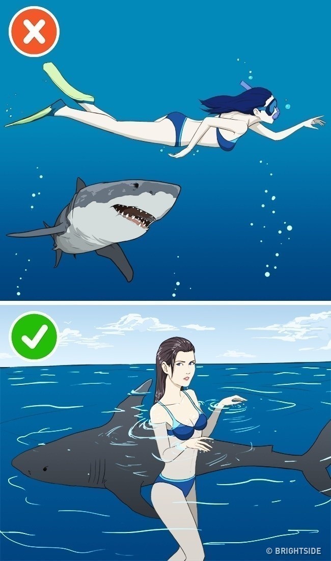 18. Ataku rekina można uniknąć, poprzez pozostawanie w bezruchu.