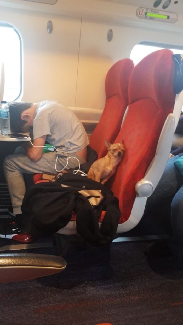 "W pociągu do Manchesteru"