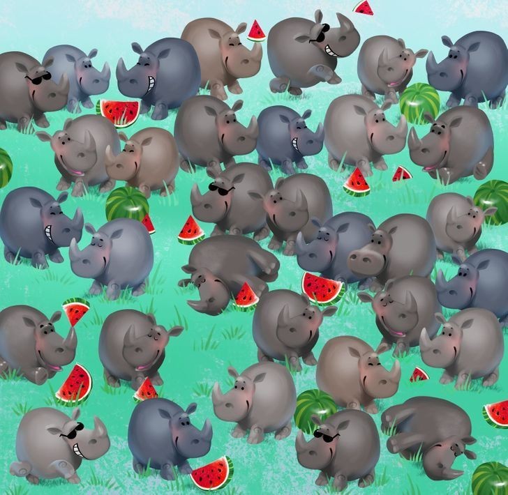 8. Widzisz hipopotama wśród nosorożców?