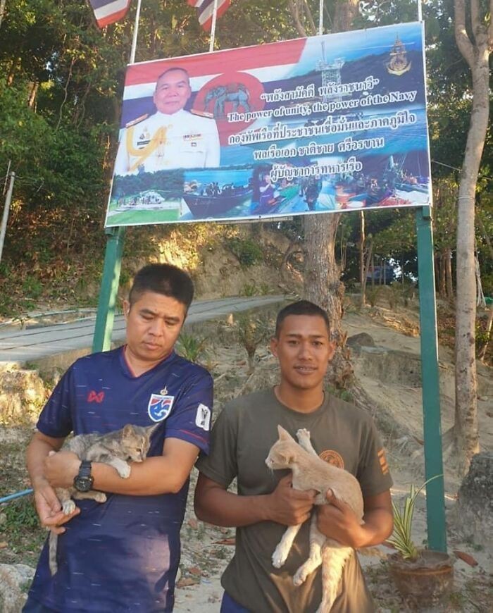 Uratowane zwierzaki przebywają obecnie w jednostce tajskiej marynarki wojennej, stacjonującej na wyspie Koh Lipe.