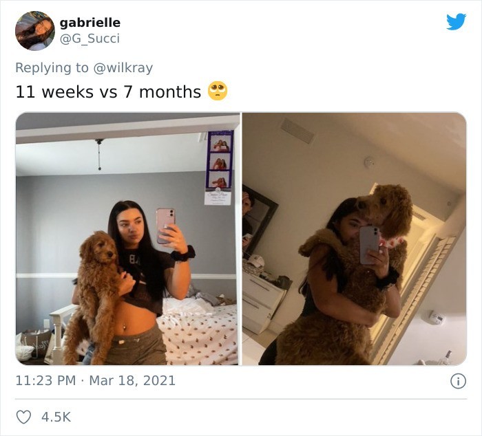 „11 tygodni vs 7 miesięcy”