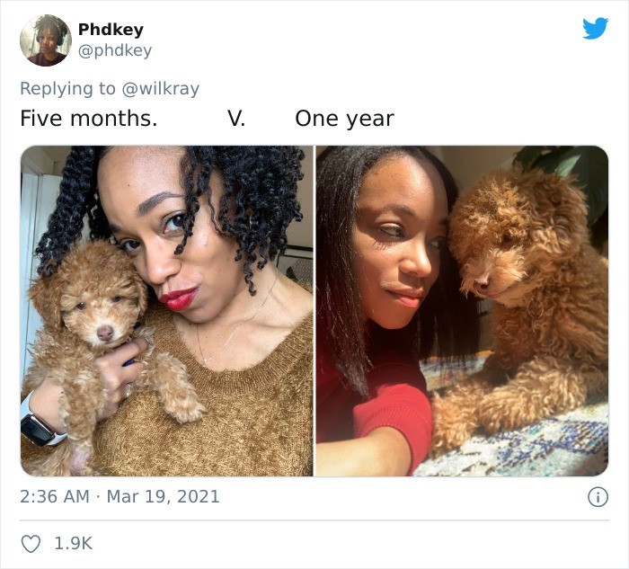 „5 miesięcy vs 1 rok”