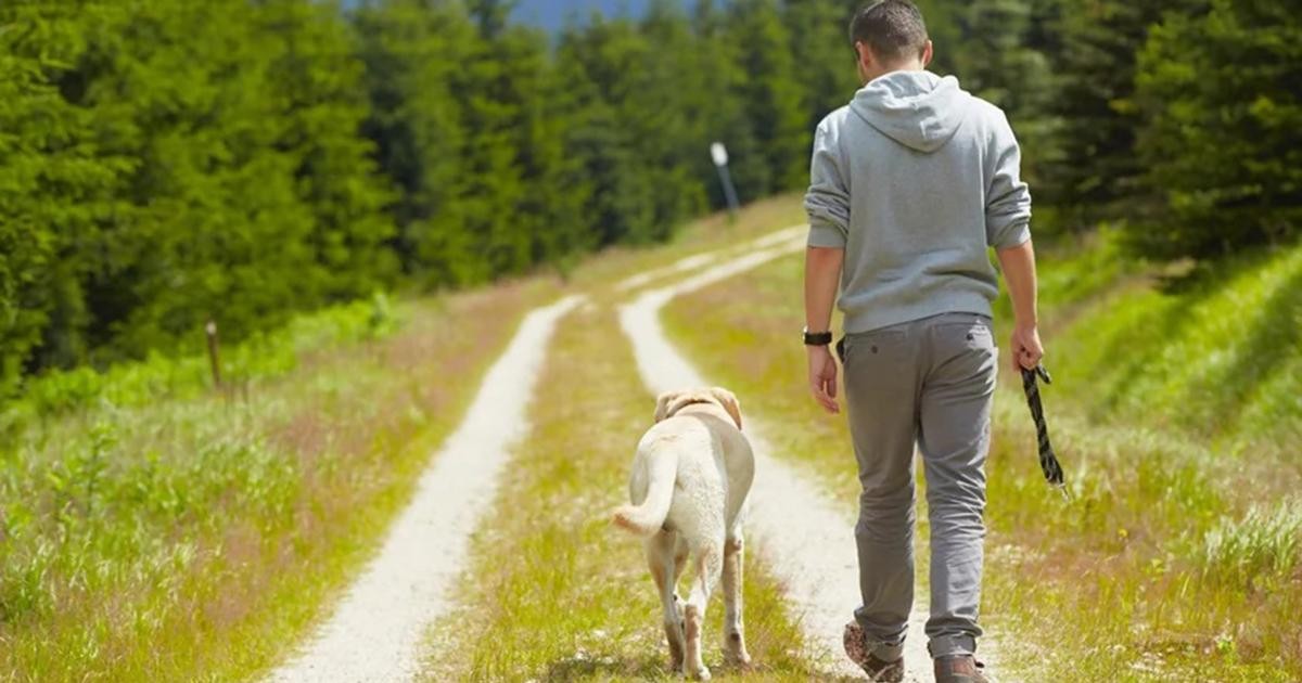 Zwykły spacer z psem może zakończyć się otrzymaniem mandatu w wysokości od 250 do 500 zł. Wystarczy spuścić na chwilę zwierzę ze smyczy lub zapomnieć o założeniu kagańca.    