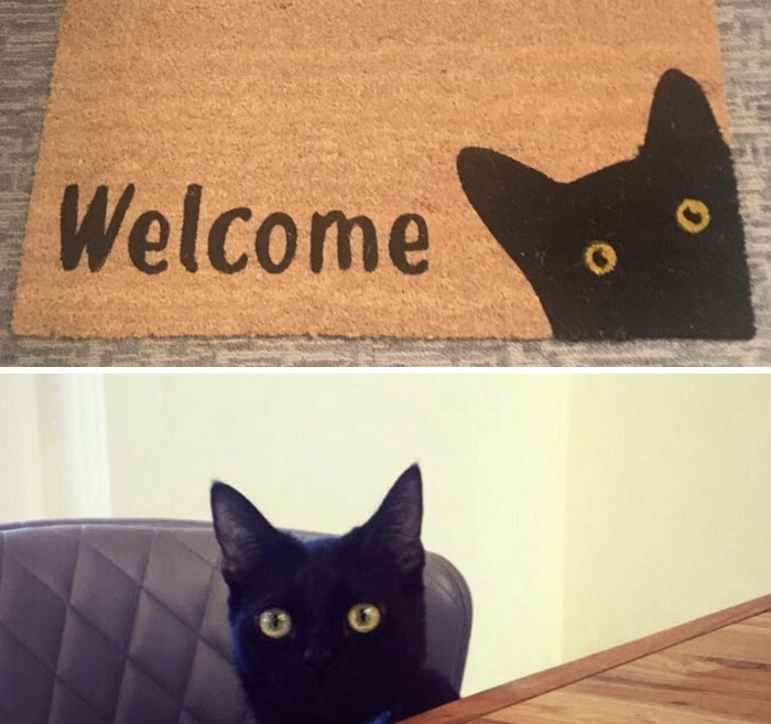 "Znalazłam wycieraczkę do mojego nowego mieszkania, która wygląda jak mój kot."