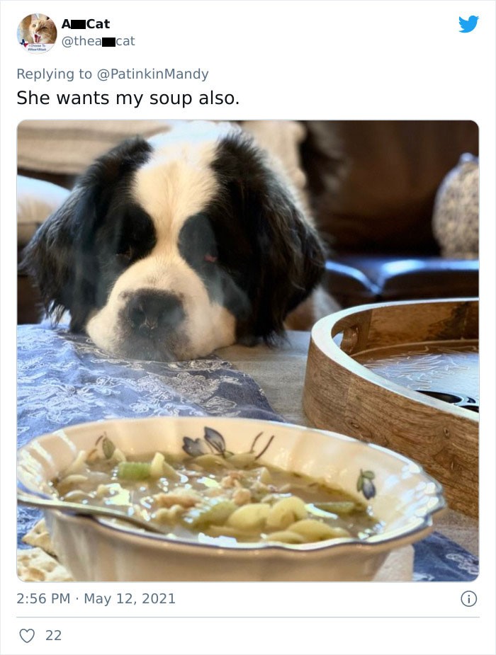 5. "Ona też chce moją zupę."