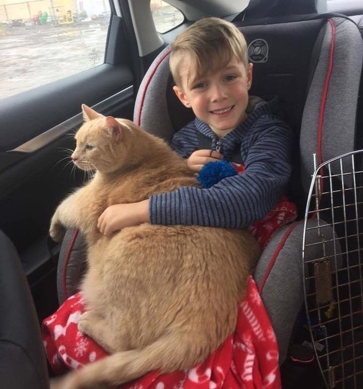 11. Mama pozwoliła swojemu synowi wybrać dowolne zwierzę ze schroniska. Wybrał starego, grubego, i bojaźliwego kota, który natychmiast po wejściu do auta wspiął mu się na kolana. Od tego czasu są nierozłączni.