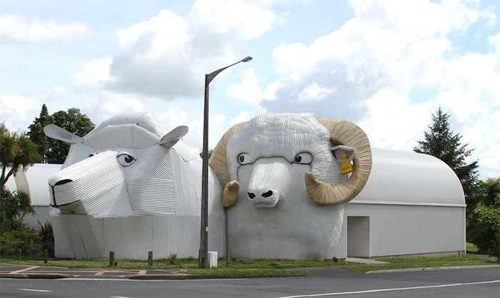 Owca i baranek, Tirau, Nowa Zelandia