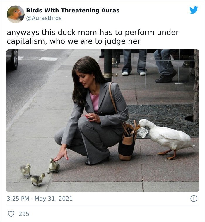 "Ta kacza mama musi radzić sobie w czasach kapitalizmu. Kim jesteśmy, by ją oceniać."