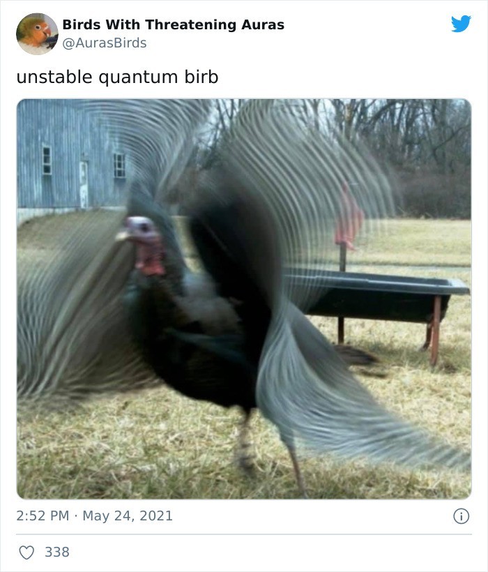 Niestabilny ptak kwantowy