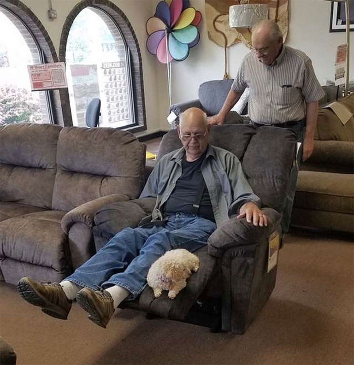 Dziadek przyprowadził do sklepu meblowego swojego psa, by upewnić się, że jemu też pasuje fotel.