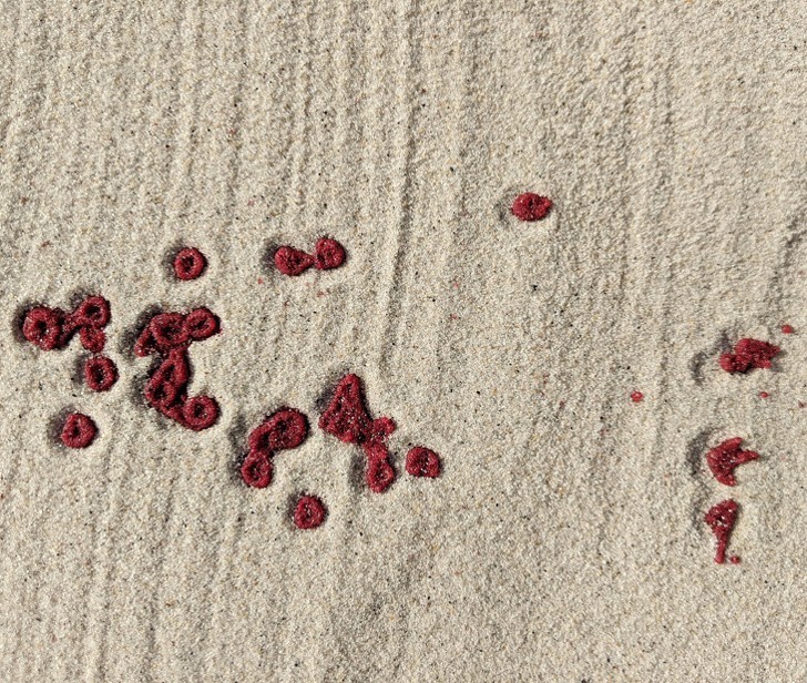 18. Sposób w jaki te krople krwi uformowały się na piasku przypomina strukturę czerwonych krwinek, z których są zbudowane.