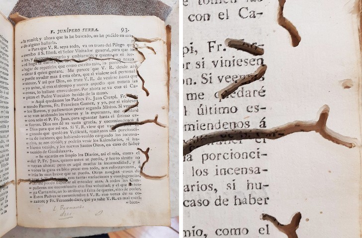 6. Ta opublikowana w 1787 roku książka jest zjadana przez mole książkowe.