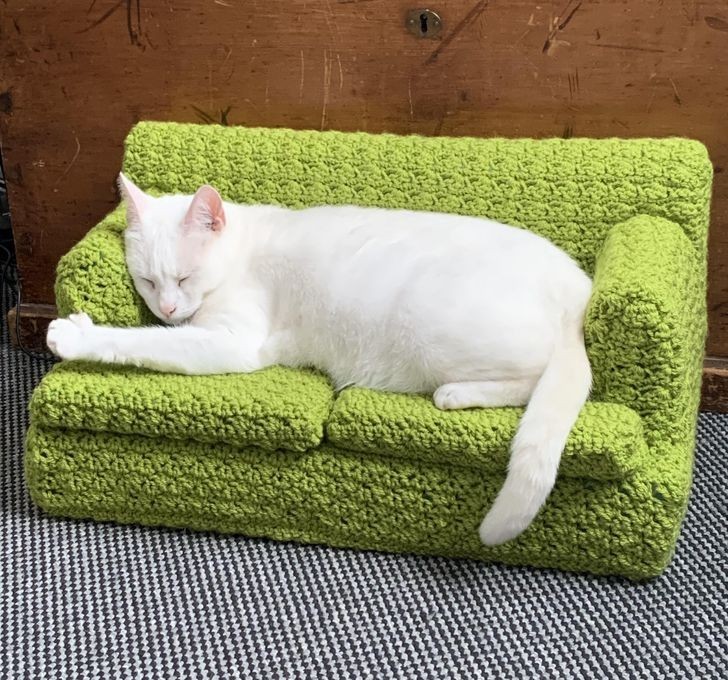 "Moja kotka śpiąca na sofie, którą dla niej wykonałam."