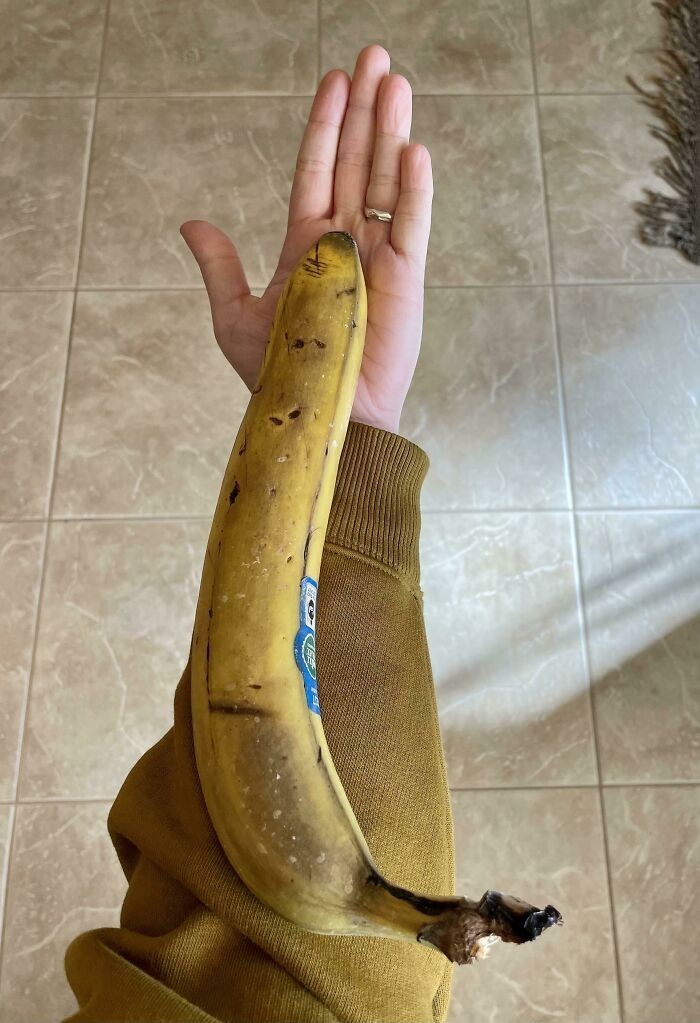 "Ten banan jest długi jak moje przedramię."