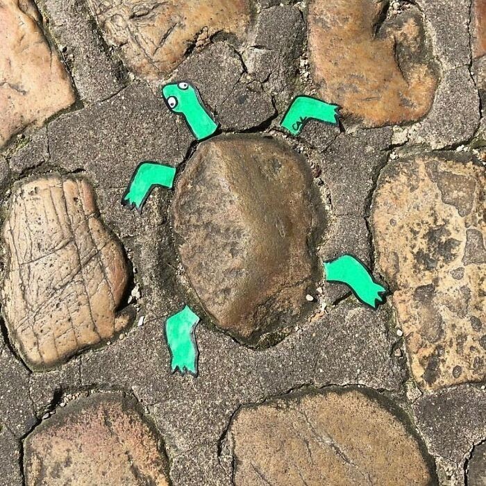 Żółwik 