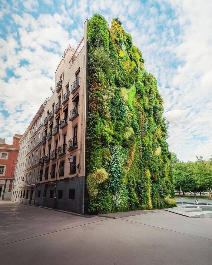 Pionowy ogród, Madryt, Hiszpania