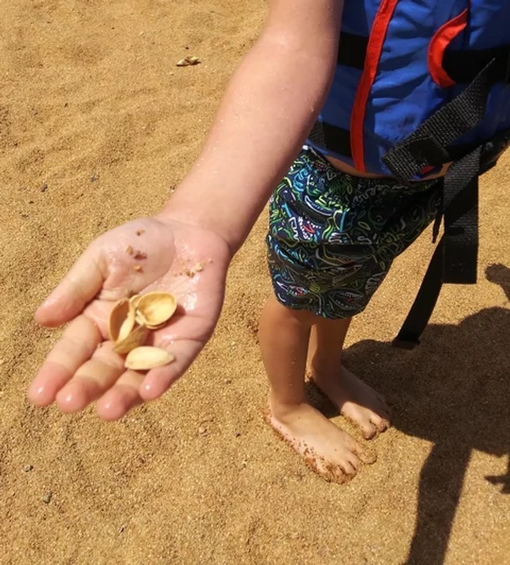 12. "Mój syn znalazł muszelki podczas pierwszego wypadu na plażę. Nie miałam serca mu powiedzieć."