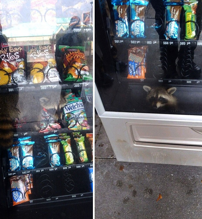 Ktoś próbował obrabować automat.