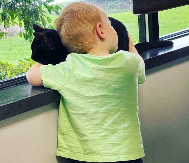 „Mano sūnus guodžia savo geriausią draugą lankydamasis pas veterinarą“.