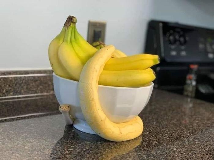 "To nie jest banan."