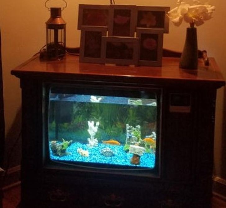 "Przekształciłem stary telewizor w akwarium."
