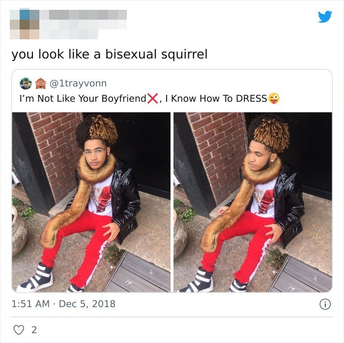 "Wyglądasz jak biseksualna wiewiórka."