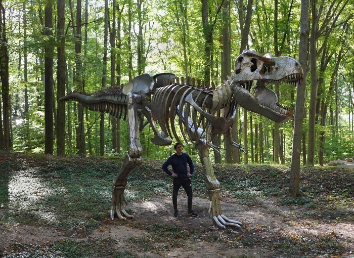 2. Szkielet tyranozaura wykonany w całości z metalu