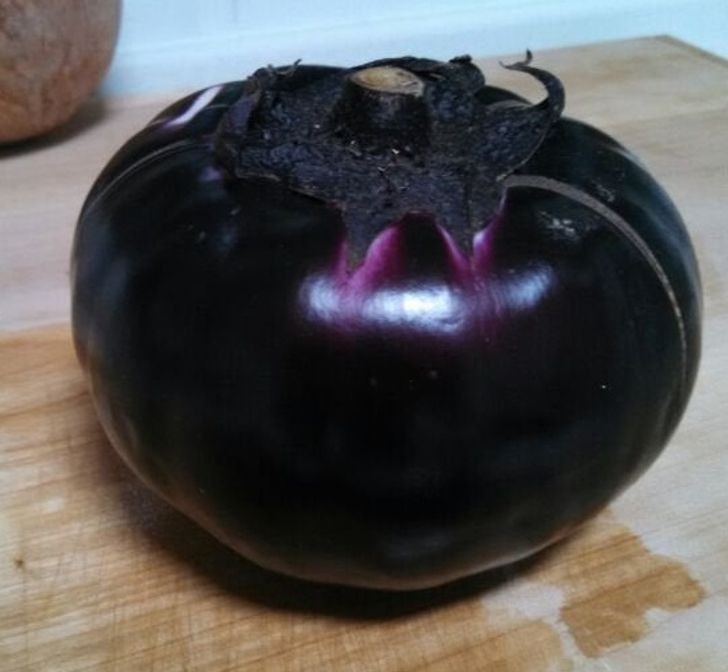 "Ten bakłażan wygląda jak mroczny pomidor."