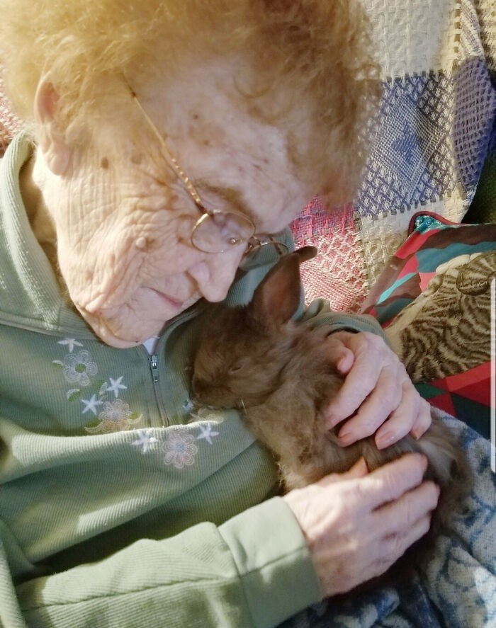 "Przyniosłam jednego z moich króliczków, by poznał moją prababcię."