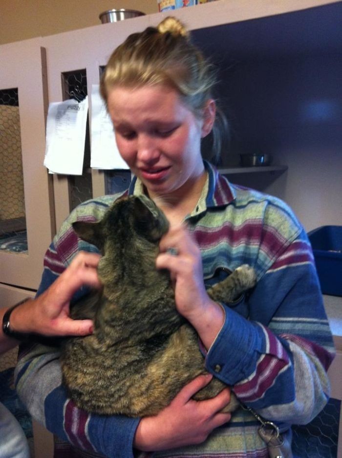 12. Kobieta odnalazła w schronisku swojego kota, który przepadł rok wcześniej."