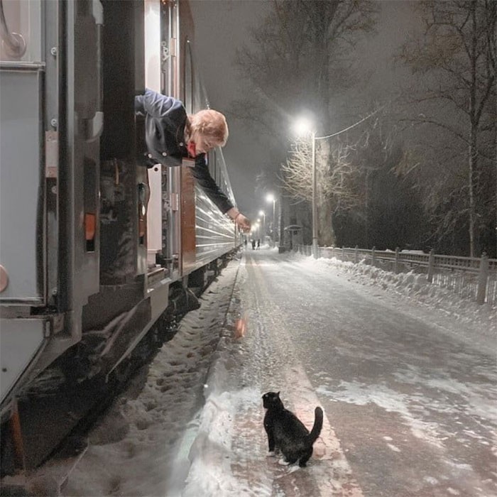 9. "Każdego dnia o tej samej porze, ten bezdomny kot spotyka się z konduktorem pociągu aby dostać przysmak."