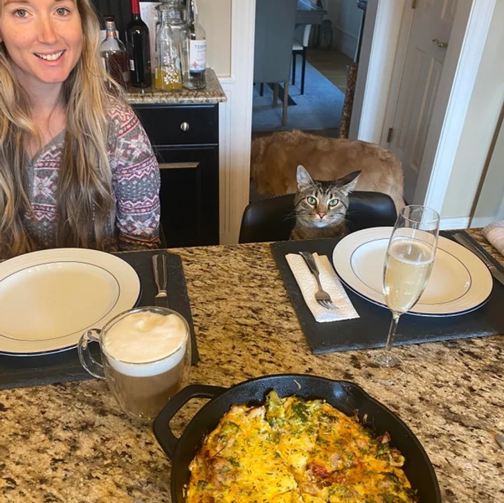 "Zrobiłem wystawne niedzielne śniadanie dla żony i kota."