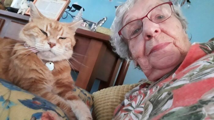 10. "Moja 90-letnia babcia i jej 23-letni kot przesyłają mi selfie na dobranoc."